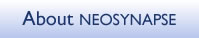 About Neosynapse