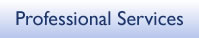 Professional Services